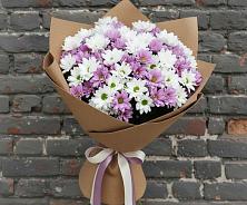 Букет цветов из:  Хризантемы #REPLACE_PRED# Боево